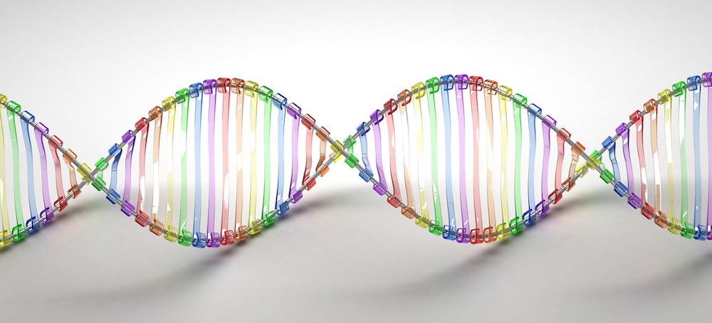 scientifiques-gene-homosexualite